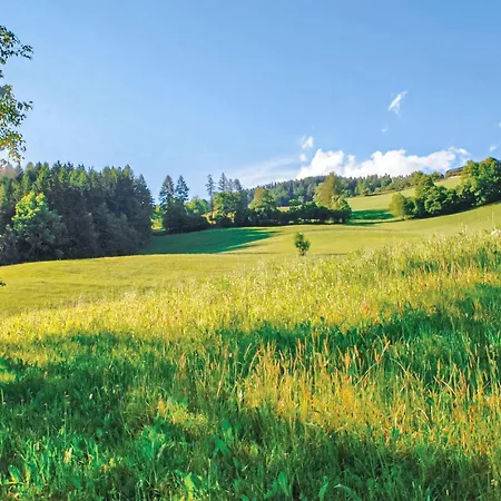 Bad St Leonhard Ferienhaus *